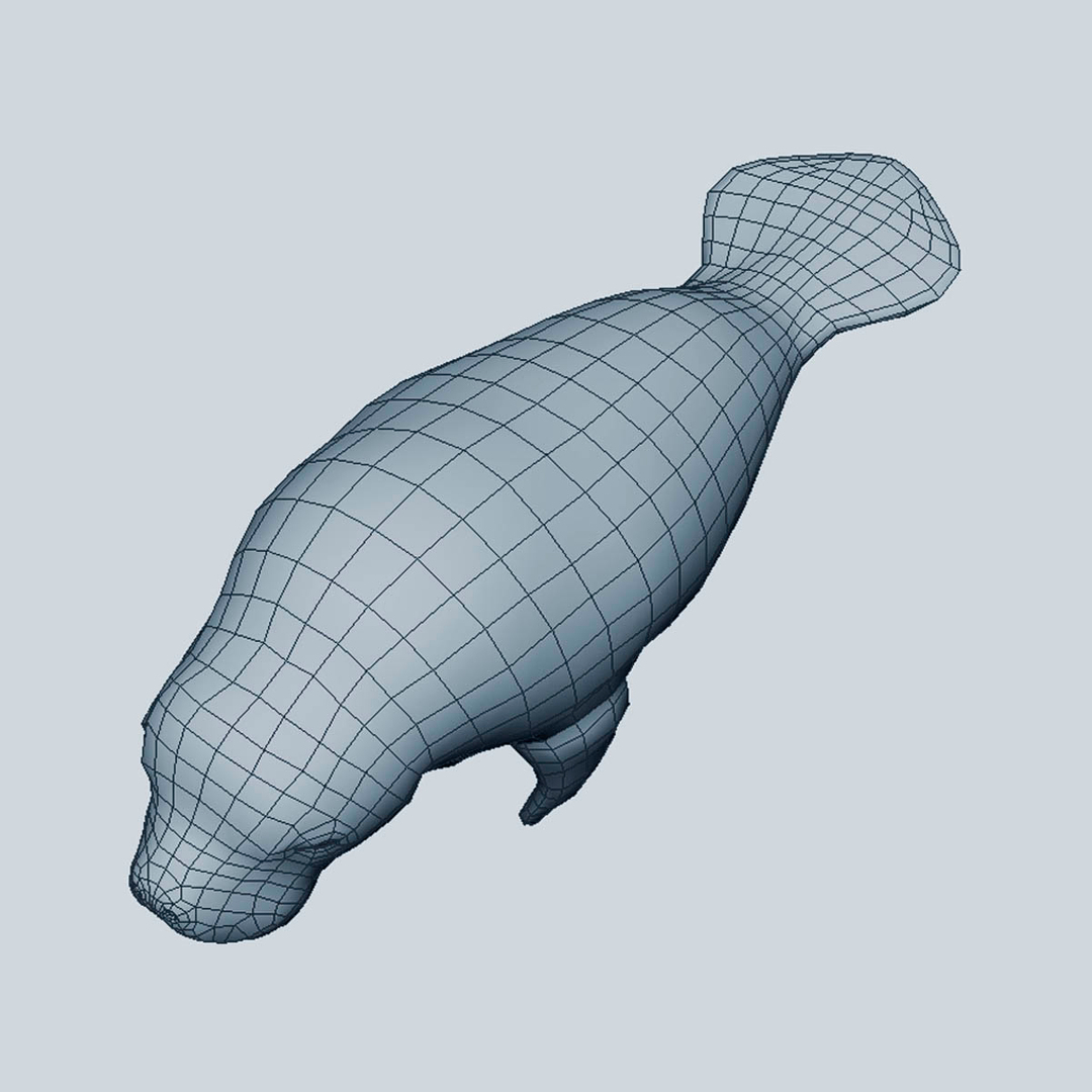 3d model manatees