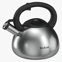 Whistling Kettle Tefal C79210