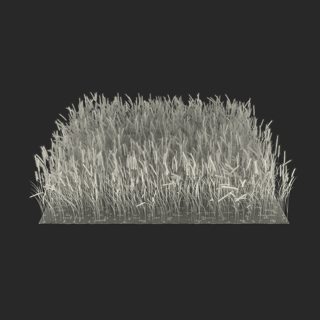 wheat field max https://p.turbosquid.com/ts-thumb/Kp/6V5TiF/bM7N4SMh/turntablefile_361/jpg/1414689665/1920x1080/turn_fit_q99/aa79b38905bc56294bb2daa5e70f39e93660f93d/turntablefile_361-1.jpg