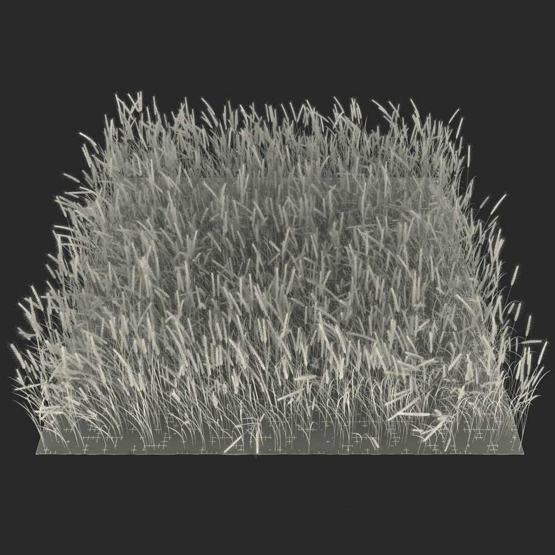 wheat field max https://p.turbosquid.com/ts-thumb/Kp/6V5TiF/fUIZxQMM/wheatfield_9/jpg/1414689570/1920x1080/fit_q87/22096f825f372f62c1b682427ba9f31c3ebc308d/wheatfield_9.jpg