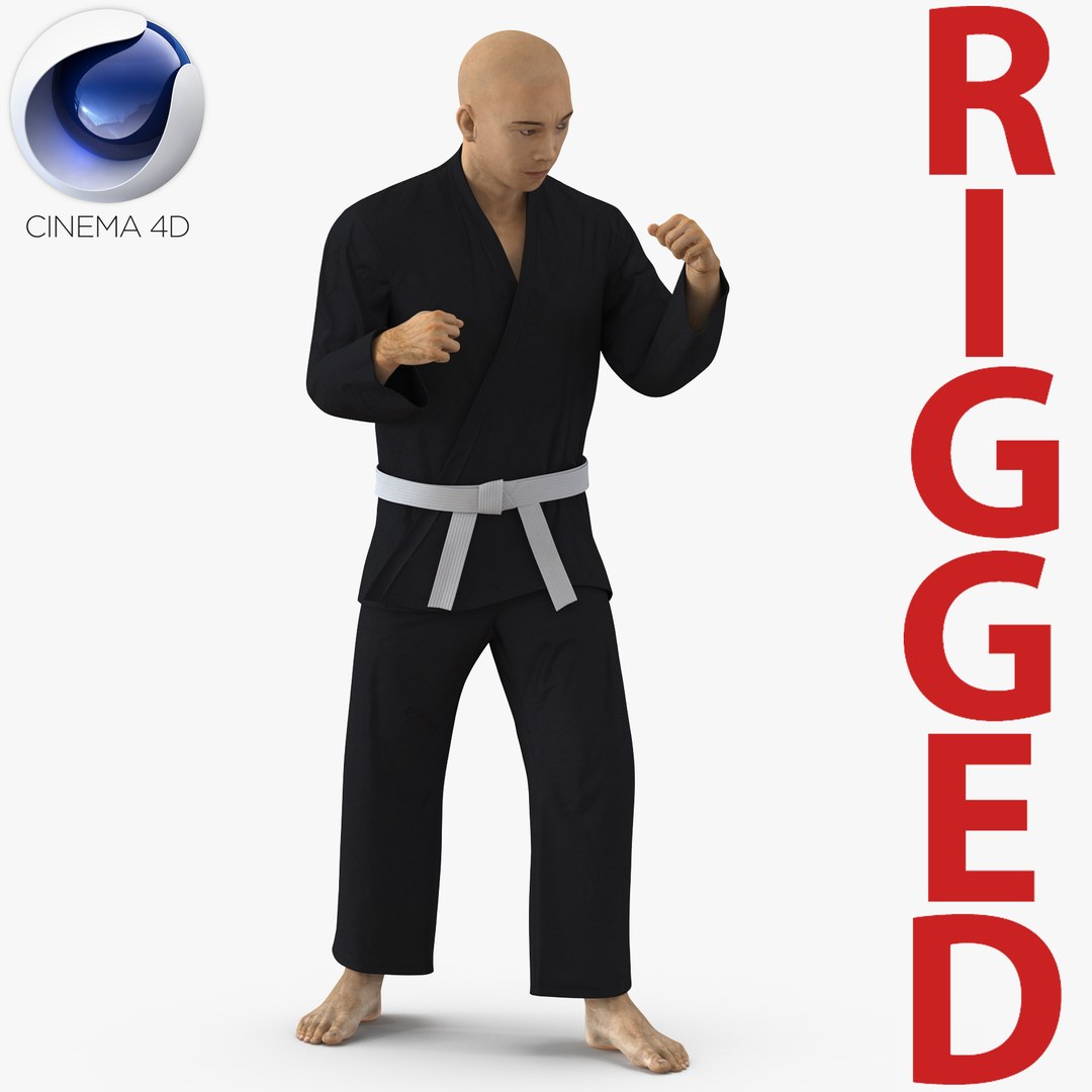 Japanese Karate Fighter Black Suit Rigged For Cinema 4D 3D model preview