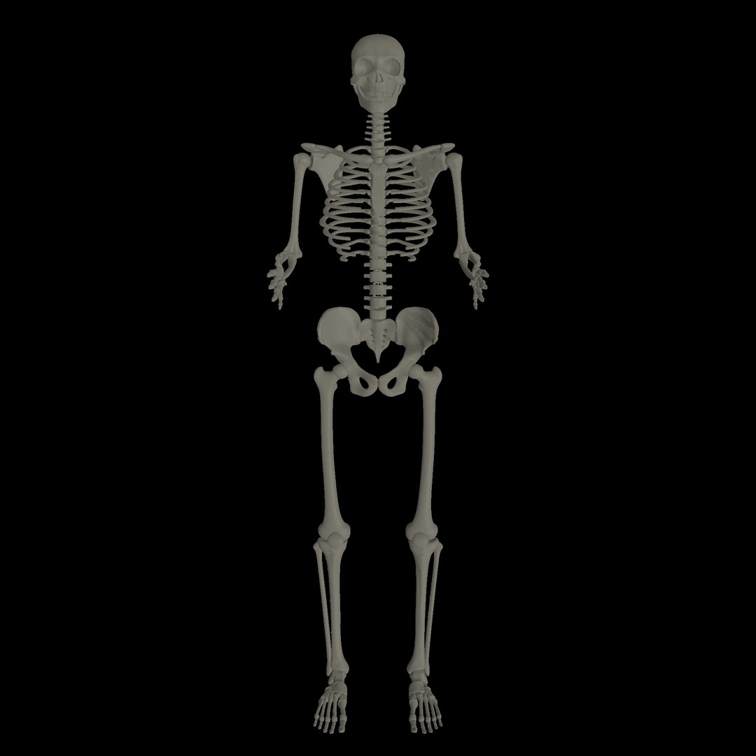 maya human skeleton