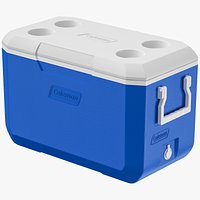 Ice Chest Coleman