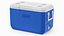 Ice Chest Coleman