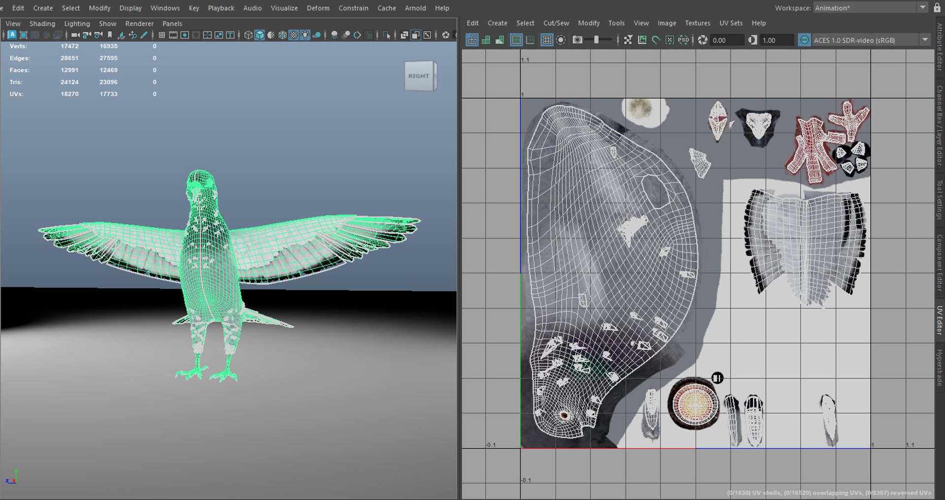 realistic rock pigeon animations model https://p.turbosquid.com/ts-thumb/Kp/Iz2Tfv/38/pigeon_uv/jpg/1725396270/1920x1080/fit_q87/1593360655c6264a5457626e54c9e9e6f3aead0a/pigeon_uv.jpg