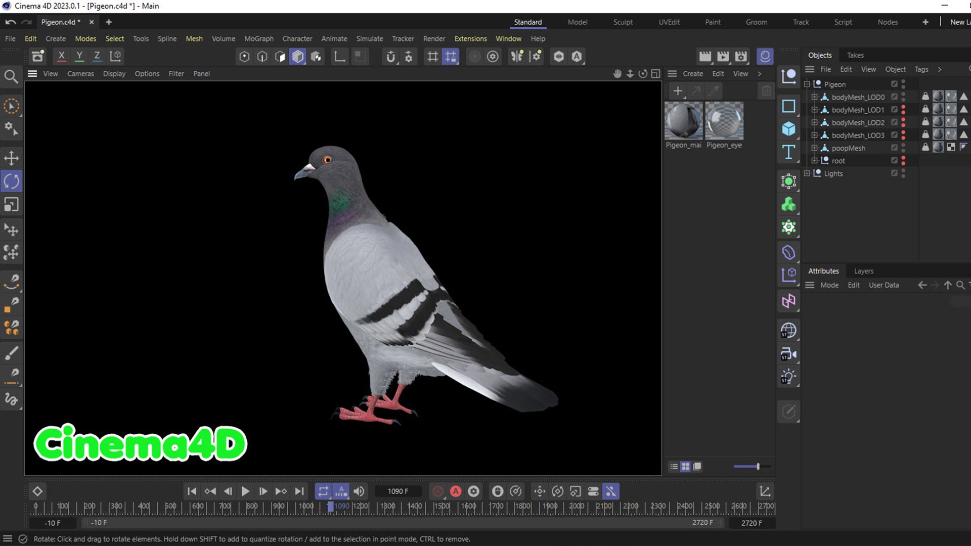 realistic rock pigeon animations model https://p.turbosquid.com/ts-thumb/Kp/Iz2Tfv/JI/1920.1080_c4d1/jpg/1689323577/1920x1080/fit_q87/5af0a0b24c3856285c5691da1f4b3b6cd6085c31/1920.1080_c4d1.jpg