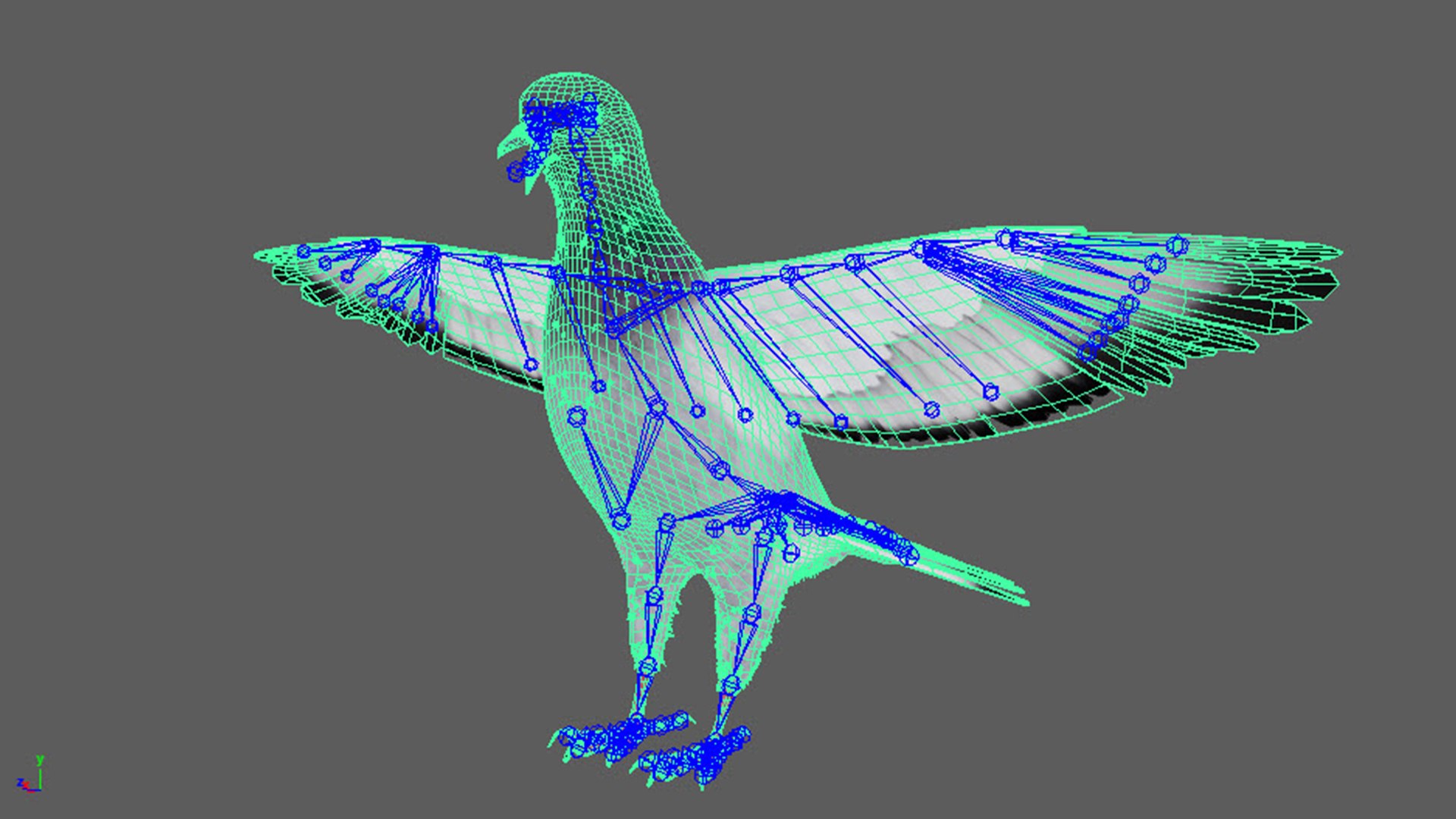realistic rock pigeon animations model https://p.turbosquid.com/ts-thumb/Kp/Iz2Tfv/O7/1920.1080_2/jpg/1689323576/1920x1080/fit_q87/92b56a71c7bfaaa0d3cb1e934463d1373f3567f5/1920.1080_2.jpg