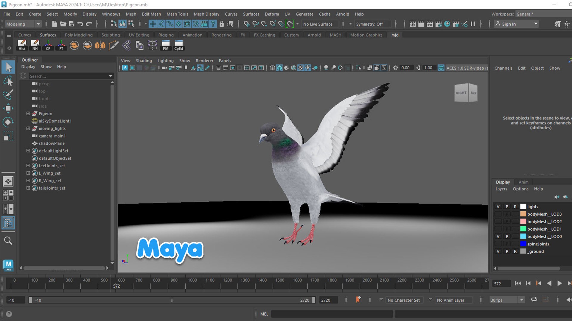 realistic rock pigeon animations model https://p.turbosquid.com/ts-thumb/Kp/Iz2Tfv/vk/1920.1080_maya/jpg/1689323579/1920x1080/fit_q87/5dd84308f140e03aa93cdefc37cf65584eaea85e/1920.1080_maya.jpg