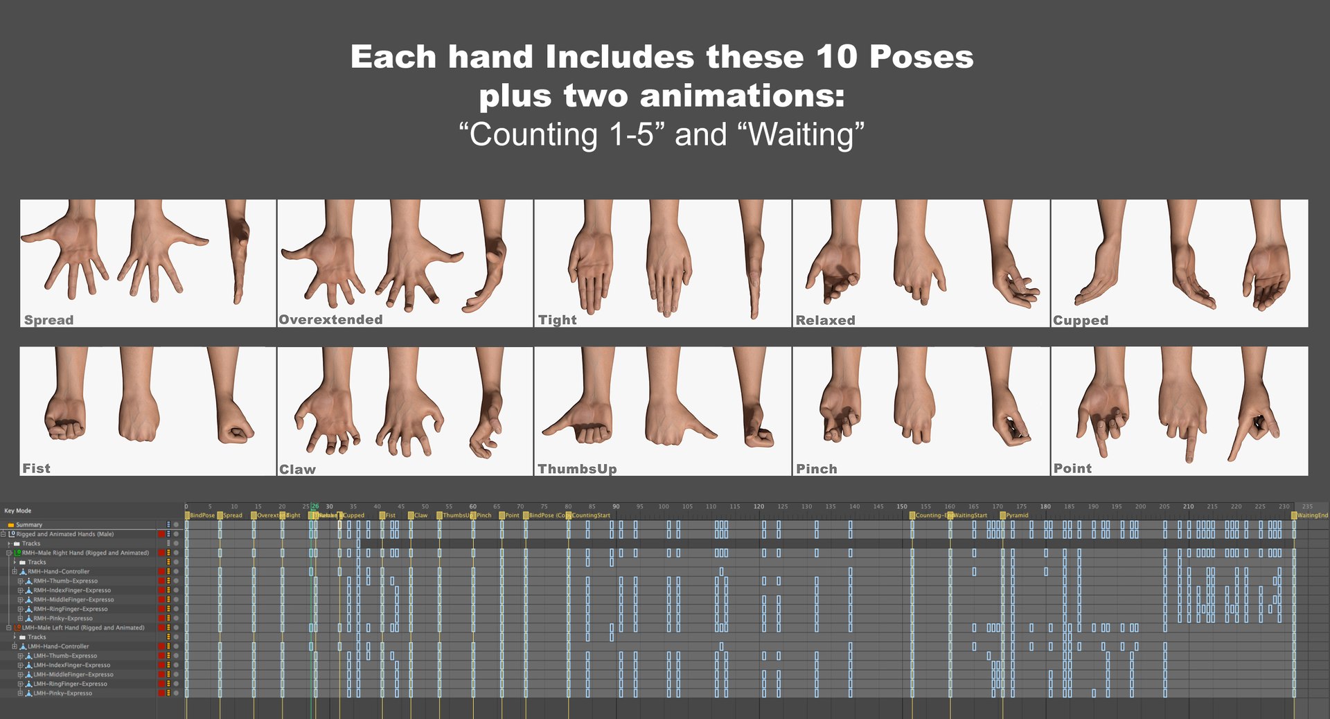 rigged human hands male 3d c4d https://p.turbosquid.com/ts-thumb/Kp/KVBABL/Gx3Xr11m/handsmale_poses/jpg/1450692759/1920x1080/fit_q87/3c9add1ce919432dd06d49981b97fe2ea5168807/handsmale_poses.jpg