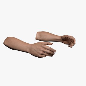 Rigged and Animated Hands (Male)