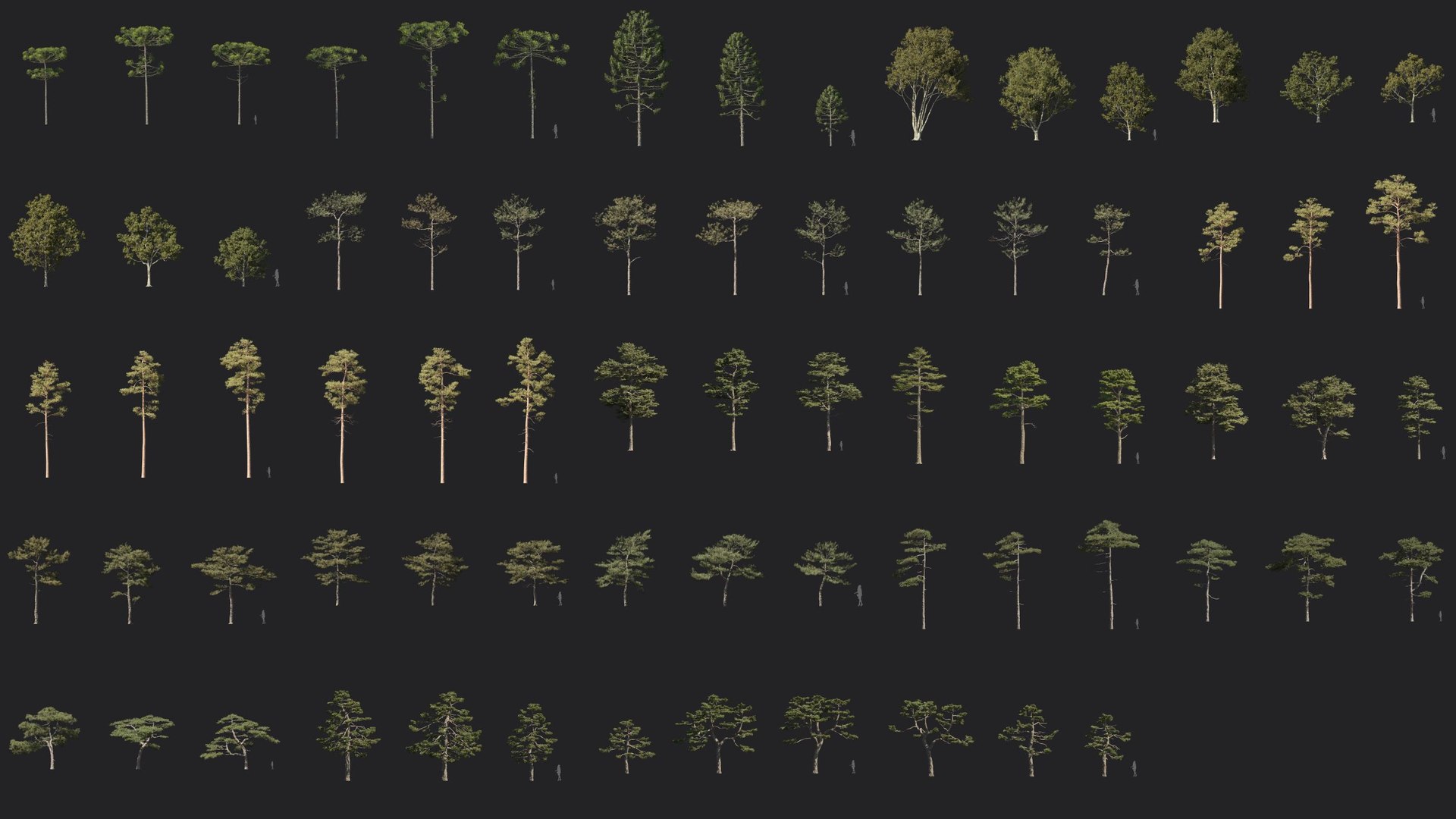 Plant Models Vol 24 - Mesh 3D model https://p.turbosquid.com/ts-thumb/Kp/ORAgu6/A3/mt_pm_v24_previews_2500/jpg/1781170318/1920x1080/fit_q87/f07933645f697dffa1efcd0394bcaa409626454b/mt_pm_v24_previews_2500.jpg