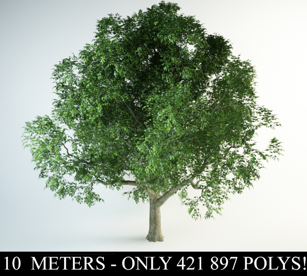 red oak 3D model https://p.turbosquid.com/ts-thumb/Kp/PH4QzL/cf06quM0/10/jpg/1554298321/1920x1080/fit_q87/f030ffc1f88401ab7b3c94cd41e5b5f47df60ca2/10.jpg