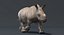 Rhino-Familie (animiert)