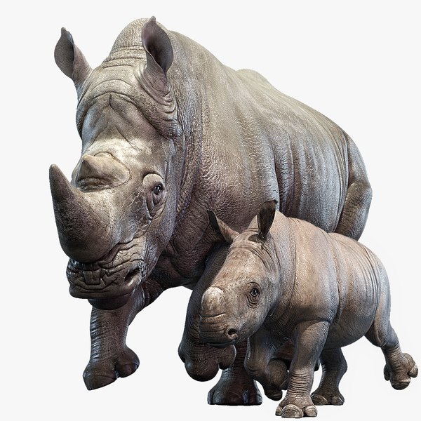 rhino rigged baby 3D