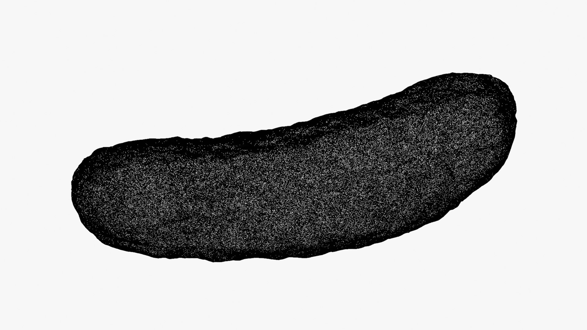 3D Pickled Cucumber 01 - Raw Scan https://p.turbosquid.com/ts-thumb/Kp/gw6Vfh/O1/pickle01_d0000/png/1756886706/1920x1080/fit_q87/f69baa880c426e06887eb87d30f109098354f9cf/pickle01_d0000.jpg