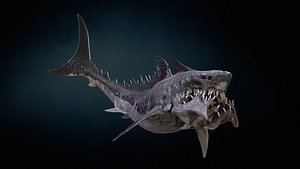3D Shark