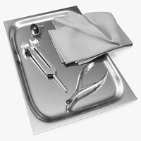 ENT Diagnostic Instrument Tray Stainless