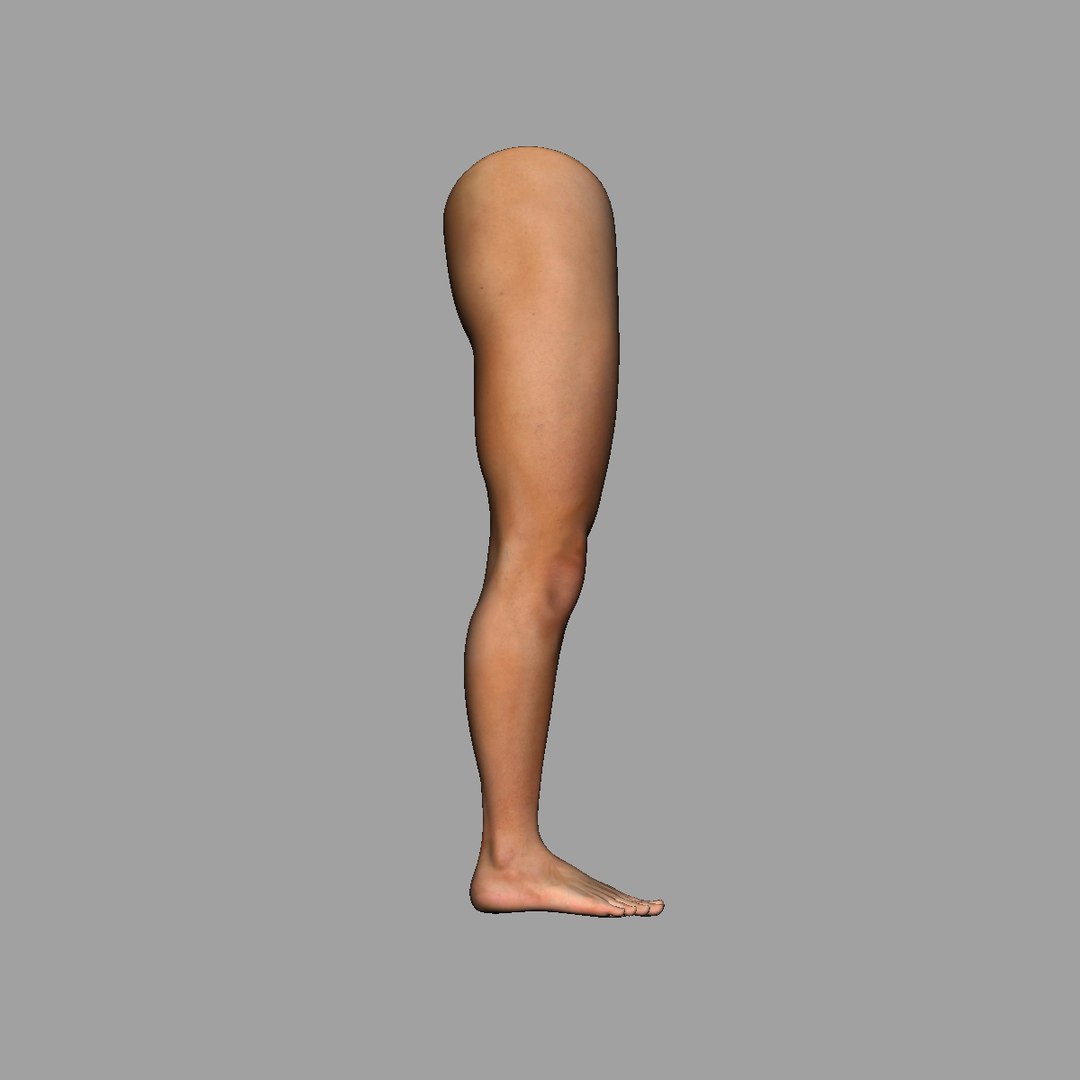 Human Leg 3D Model - TurboSquid 1293662