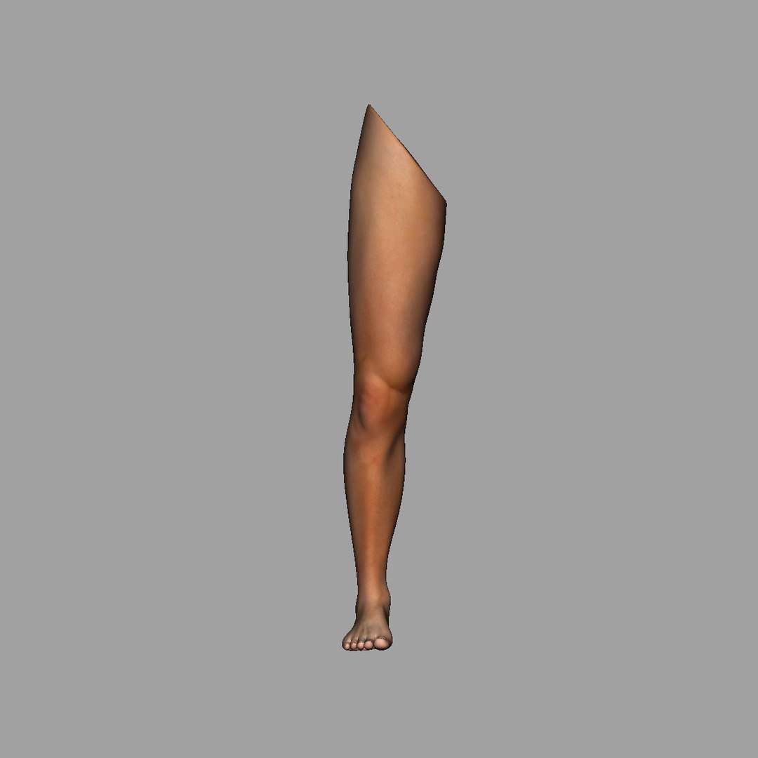 Human Leg 3D Model - TurboSquid 1293662