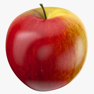 apple fruit 3D model