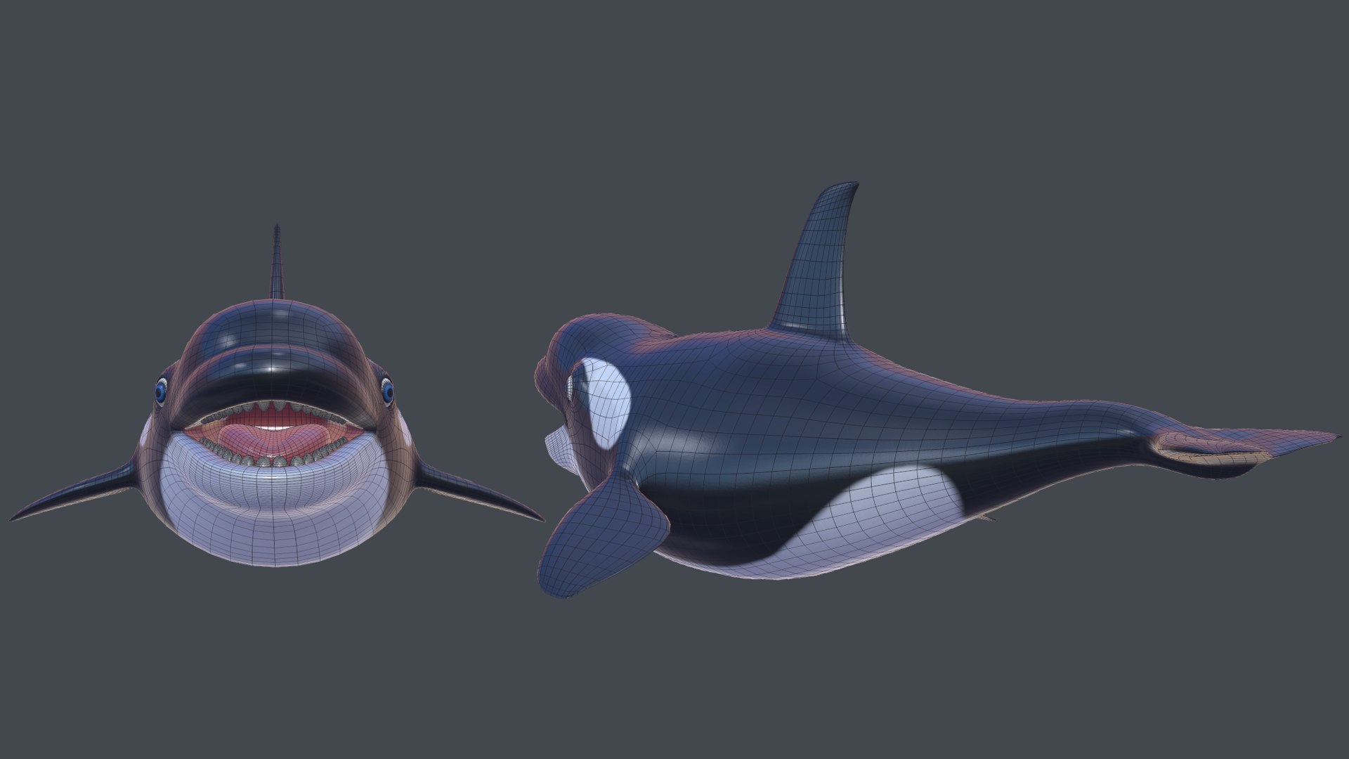 3D Cartoon Killer Whale Model - TurboSquid 1245438