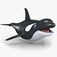 3D cartoon killer whale model - TurboSquid 1245438