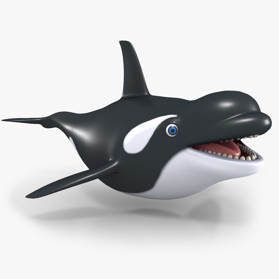 3D Cartoon Killer Whale Model - TurboSquid 1245438, image size:1080x1080