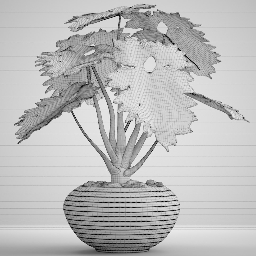 philodendron 3D https://p.turbosquid.com/ts-thumb/Kq/NDFwwk/RxOoY5Hu/philodendron09/jpg/1495406969/1920x1080/fit_q87/59bc8e6927c745a18fd7e76d5369488459aa9e76/philodendron09.jpg