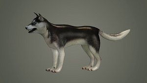 3D dog animal mammal husky siberian alaska cabin snow perro