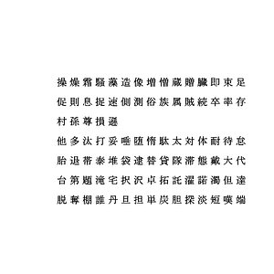 chinese ms pmincho font 3D