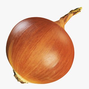 4k onion 2 model
