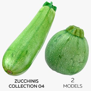 2 Zucchinis Collection 04 3D model