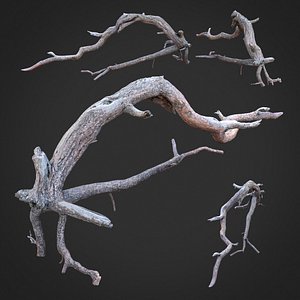 3D dead tree scan sna0003 model