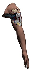 3D fps arm model