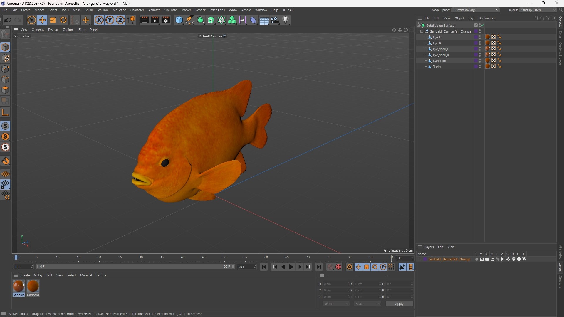 Garibaldi Damselfish Orange 3D model https://p.turbosquid.com/ts-thumb/Kr/3EDtMn/14/garibaldi_damselfish_orange_1003/jpg/1779144437/1920x1080/fit_q87/103fc5453b4a1c5a2ba72988d0719dc1213d6c5d/garibaldi_damselfish_orange_1003.jpg