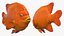 Garibaldi Damselfish Orange