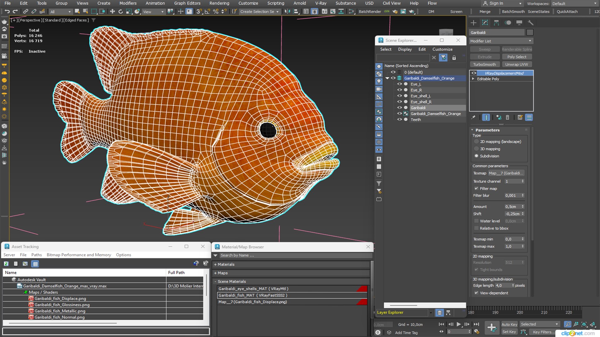 Garibaldi Damselfish Orange 3D model https://p.turbosquid.com/ts-thumb/Kr/3EDtMn/uK/garibaldi_damselfish_orange_019/jpg/1779144427/1920x1080/fit_q87/815f4058c85f3b7d5e2d83ac2e40d528e4ef4916/garibaldi_damselfish_orange_019.jpg
