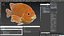 Garibaldi Damselfish Orange