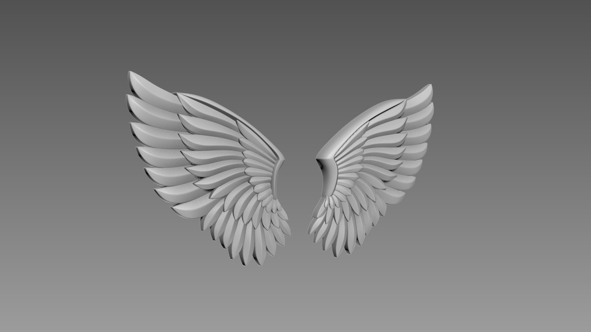 3D Wings Relief Model - TurboSquid 2139309
