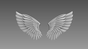 3D Wings relief model