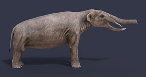 3D platybelodon model