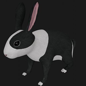 Realistic Rigged low poly black and white Rabbit