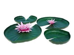 3D VITORIA REGIA model