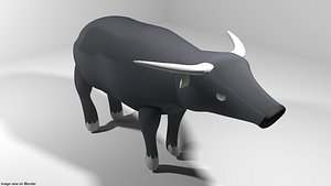 asia buffalo 3D model