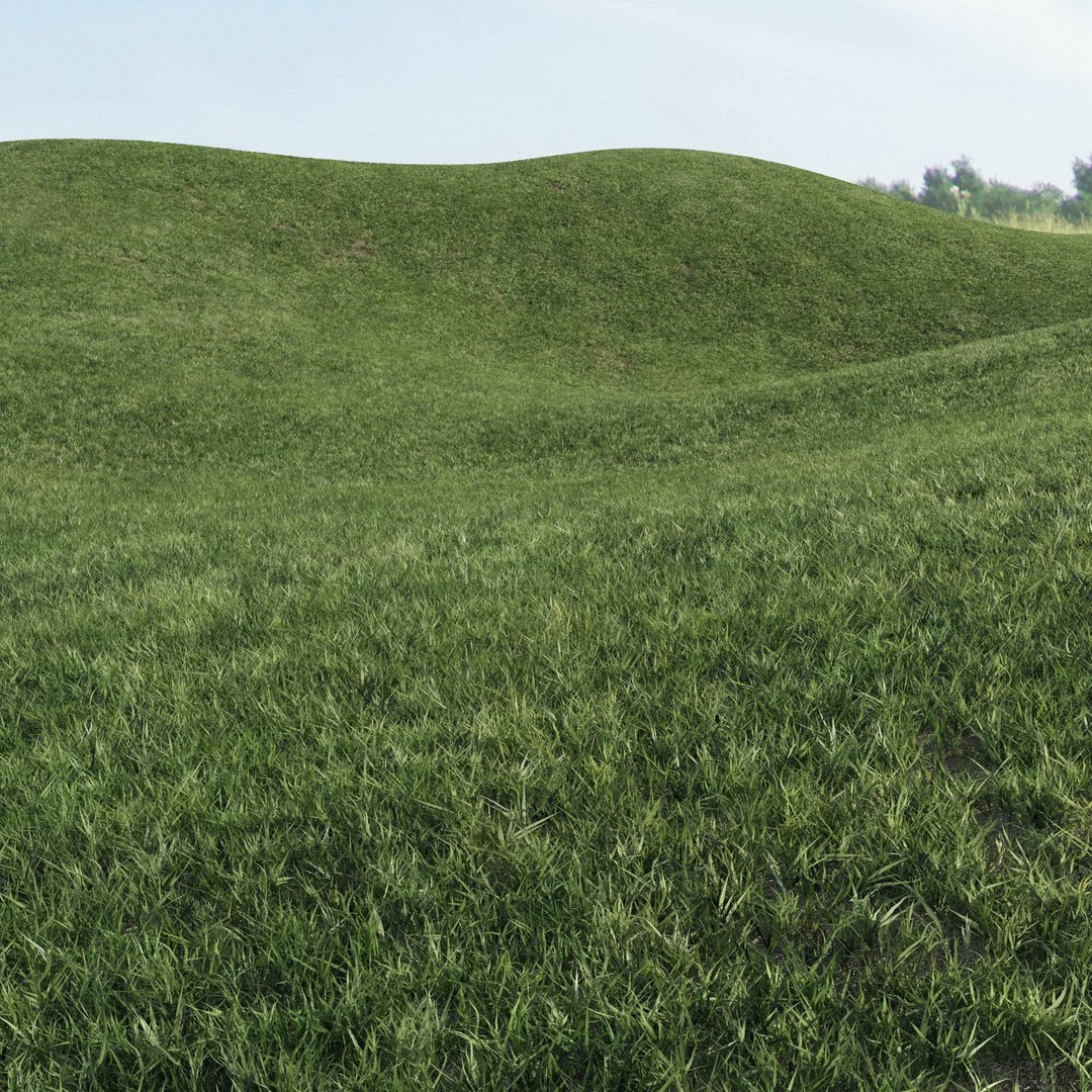 lawn grass 2 3d model https://p.turbosquid.com/ts-thumb/Kr/aiiNGl/34yDMptO/grass_lawn_212/jpg/1479906310/1920x1080/fit_q87/133adf98cec9d186709055d3809e3ce9f6674022/grass_lawn_212.jpg