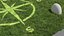 Projected Lawn Grass (+GrowFX)