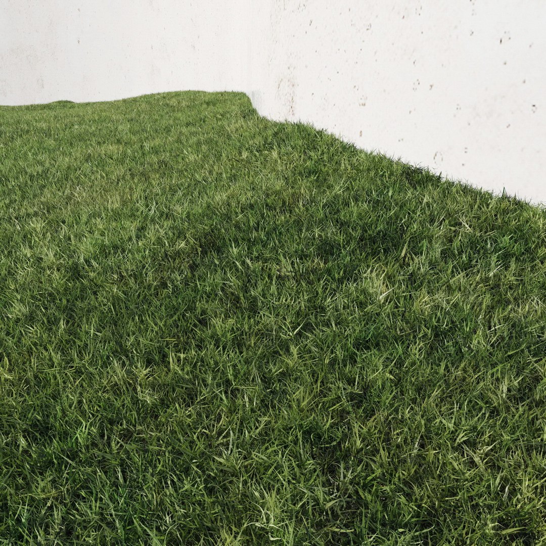 lawn grass 2 3d model https://p.turbosquid.com/ts-thumb/Kr/aiiNGl/7ovJR9Po/grass_lawn_27/jpg/1479906274/1920x1080/fit_q87/f5a7c01d9c18a5ca8161b2bb0218fd3e2f72e4b9/grass_lawn_27.jpg
