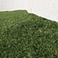Projected Lawn Grass (+GrowFX)