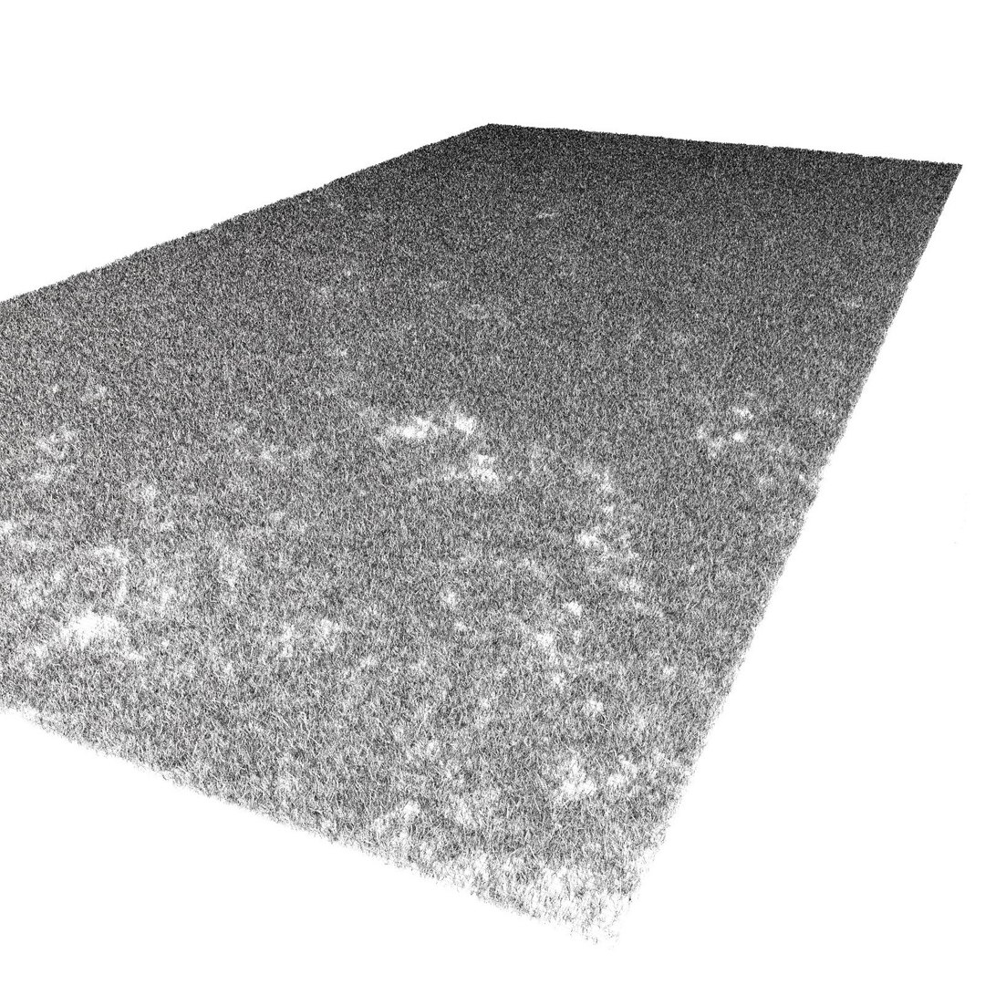 lawn grass 2 3d model https://p.turbosquid.com/ts-thumb/Kr/aiiNGl/H2L730z9/grass_lawn_219/jpg/1479906359/1920x1080/fit_q87/f050e2d5de733d33a60c07aa55006942d52c1e42/grass_lawn_219.jpg