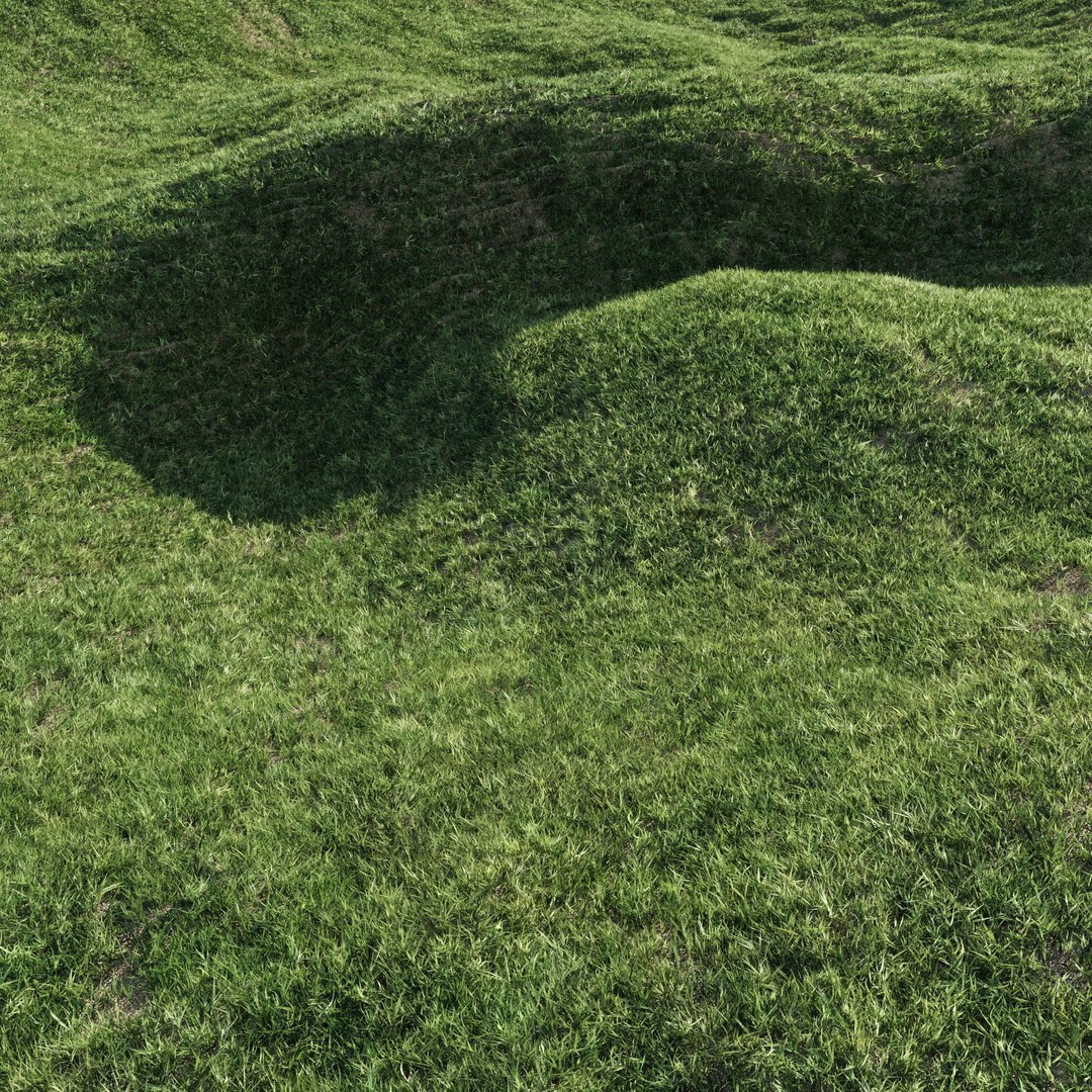 lawn grass 2 3d model https://p.turbosquid.com/ts-thumb/Kr/aiiNGl/K3OPNdRG/grass_lawn_210/jpg/1479906297/1920x1080/fit_q87/d22fa4e4a15a00aa651eba22b914f53d3446c889/grass_lawn_210.jpg